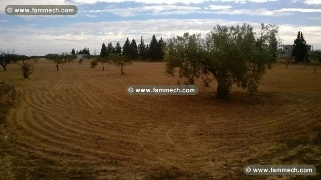 TERRAIN AGRICOL