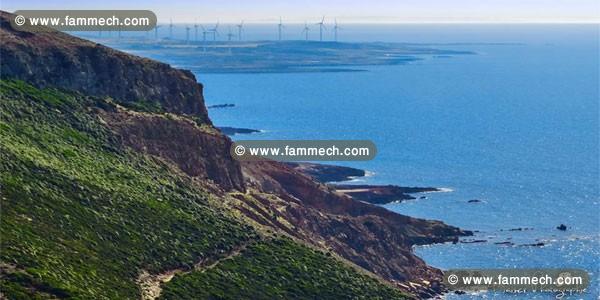 terrain agricole 
