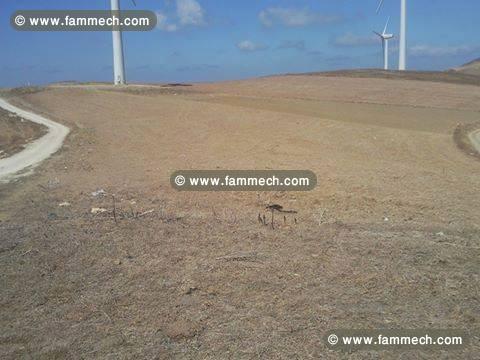 Terrain agricole