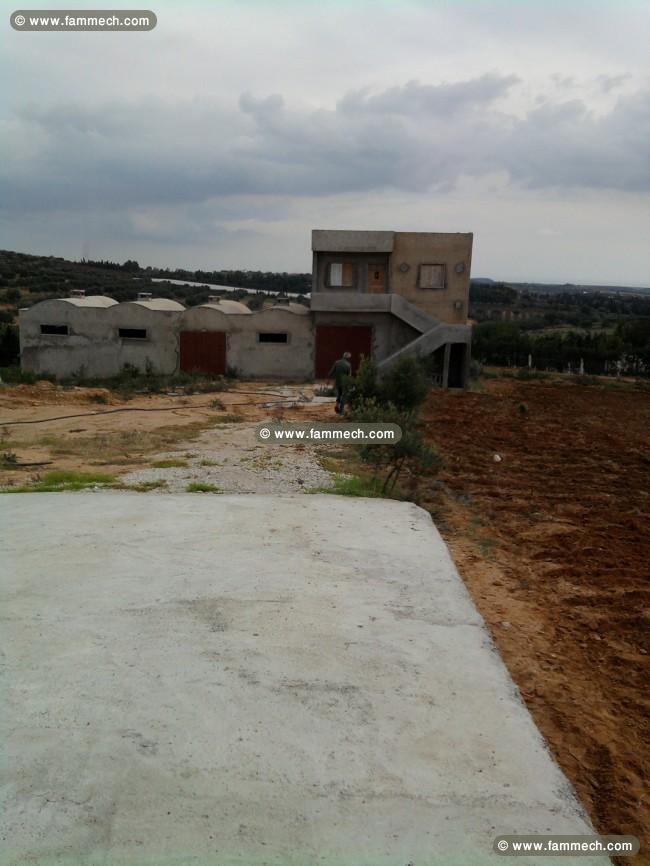 TERRAIN AGRICOLE