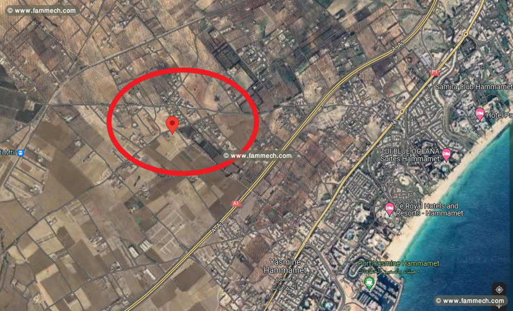 Terrain agricole à Douikhla Hammamet sud 3M759