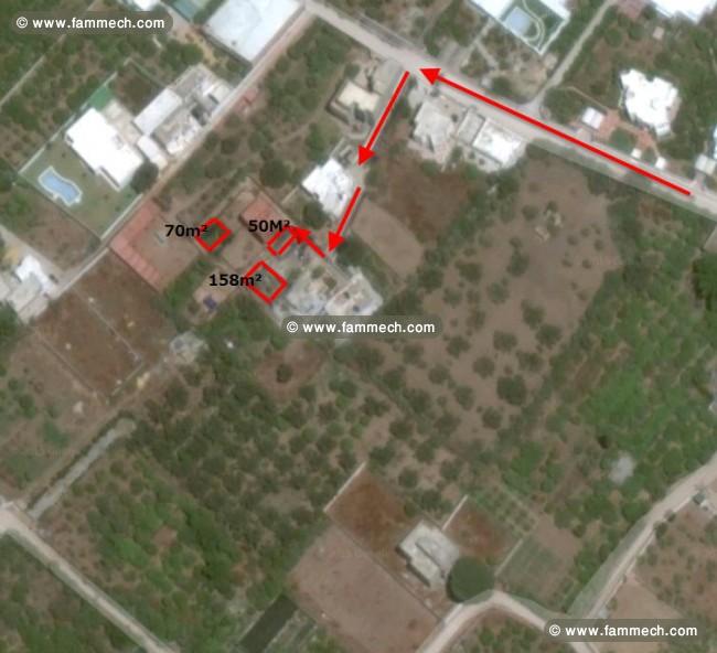 Terrain agricole a Hammamet 