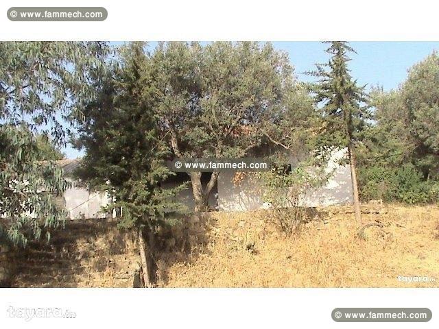 terrain agricole a vendre