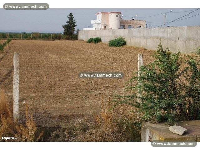 terrain agricole à vendre