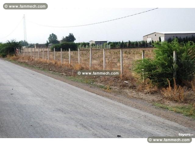 terrain agricole à vendre