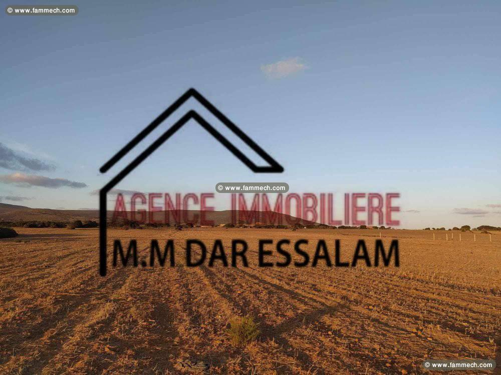 terrain agricole à vendre