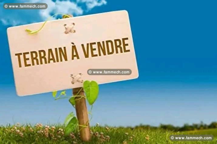 terrain agricole à vendre