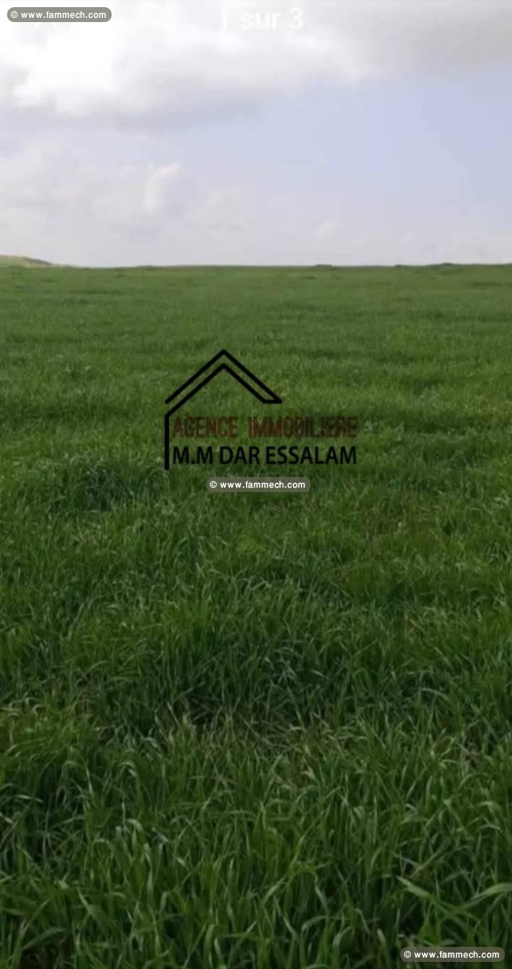 terrain agricole à vendre