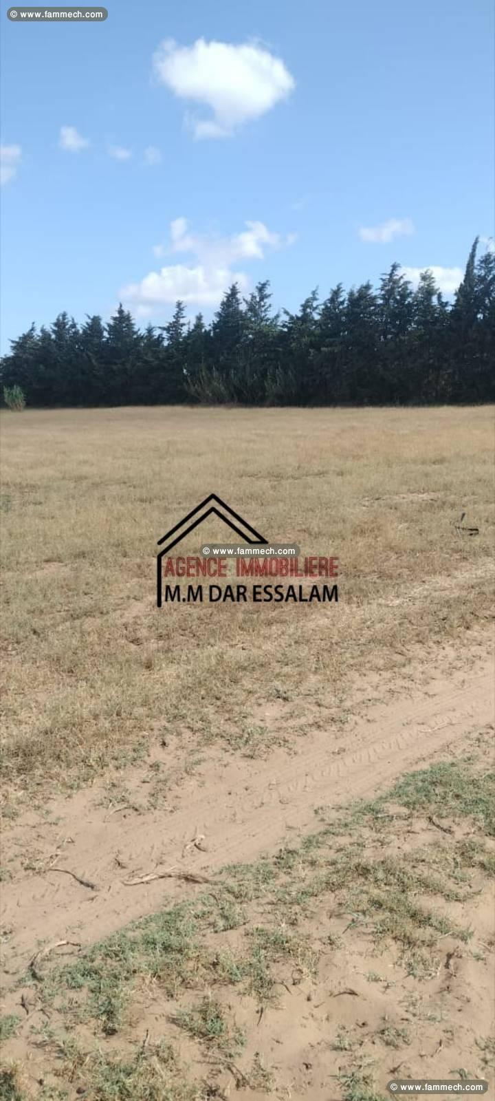 terrain agricole à vendre