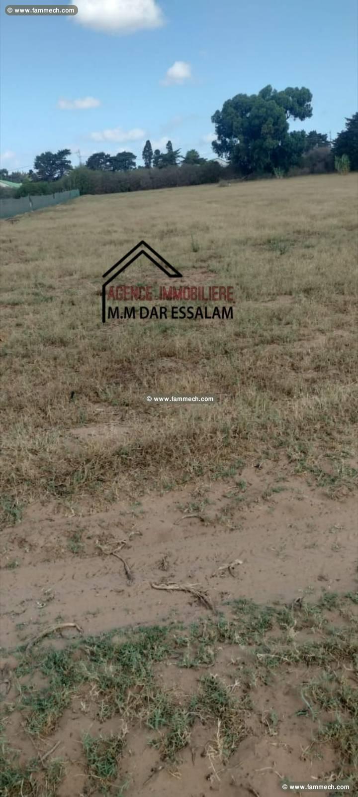 terrain agricole à vendre