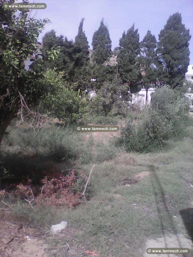 Terrain agricole avec puit à Chatt Memi Ras Jebel