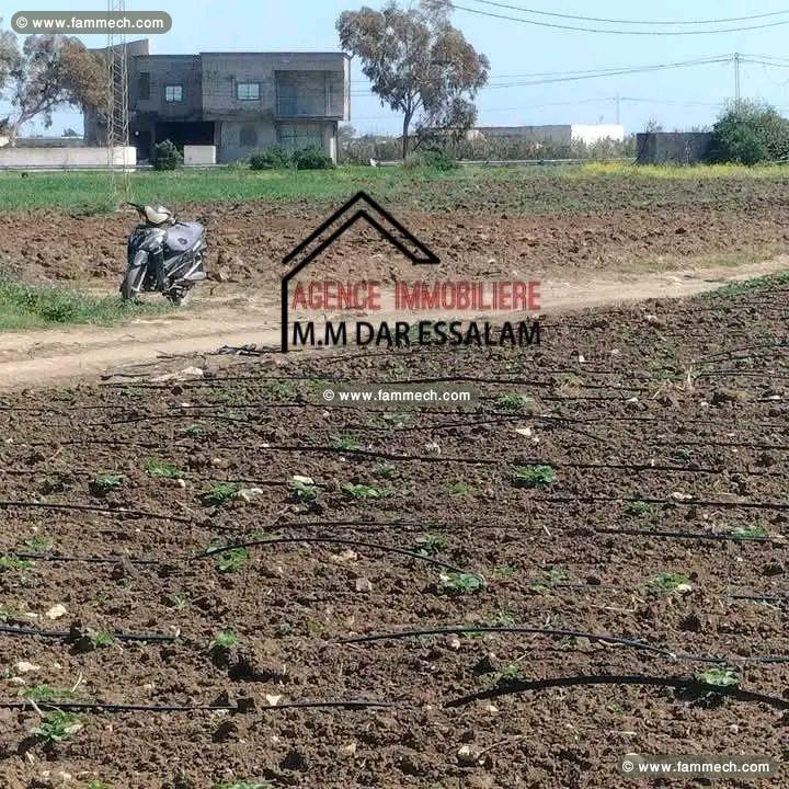 terrain agricole bien équipée