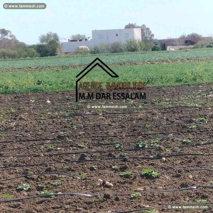 terrain agricole bien équipée