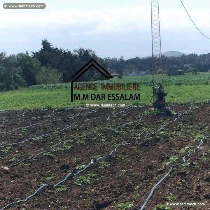 terrain agricole bien équipée