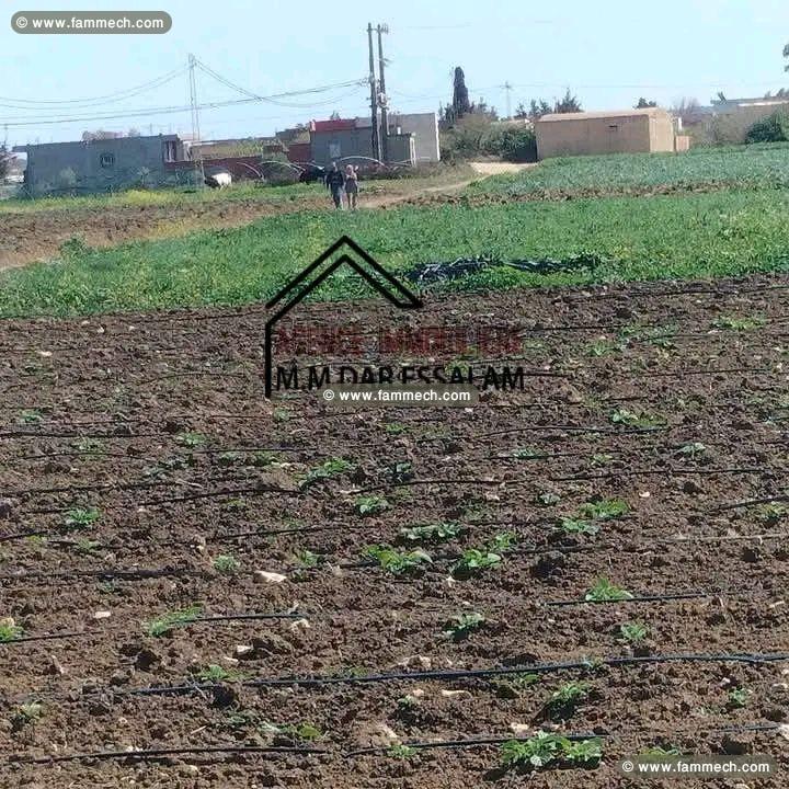 terrain agricole bien équipée