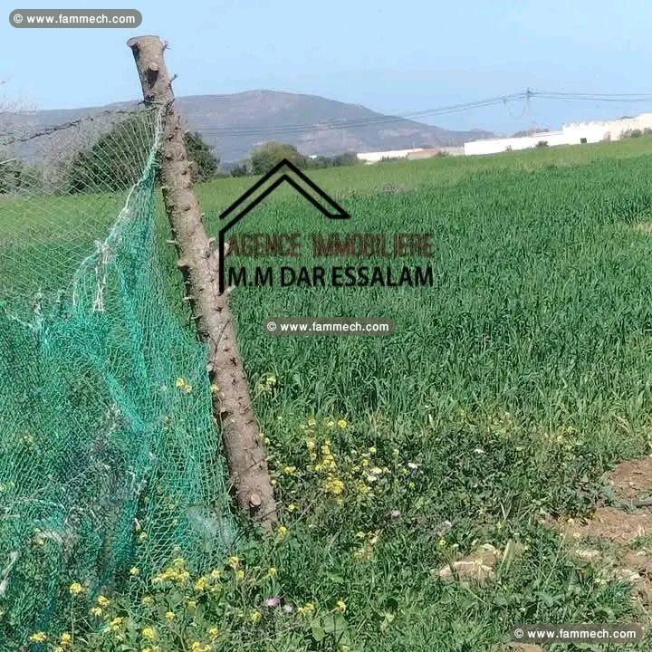 terrain agricole bien équipée