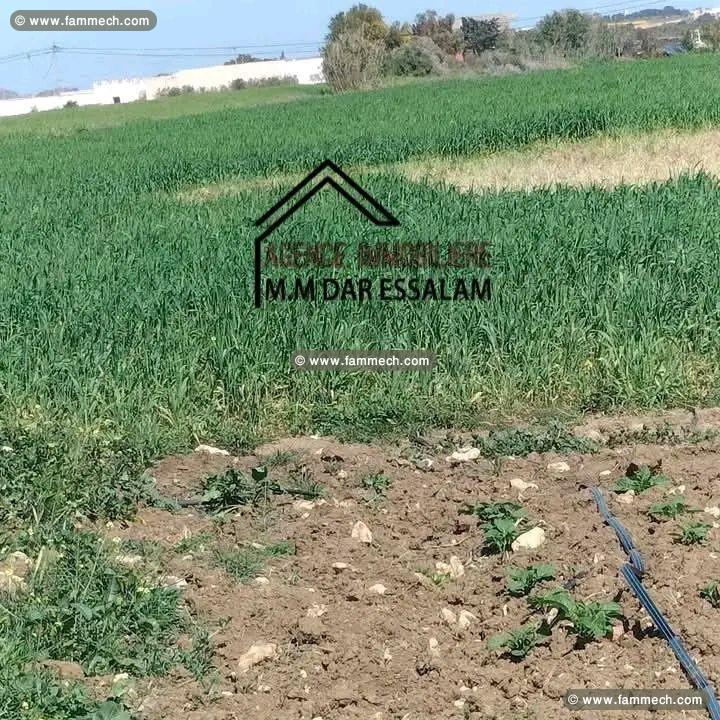 terrain agricole bien équipée