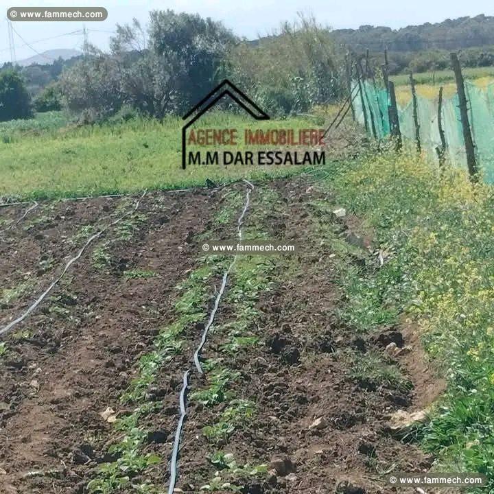 terrain agricole bien équipée