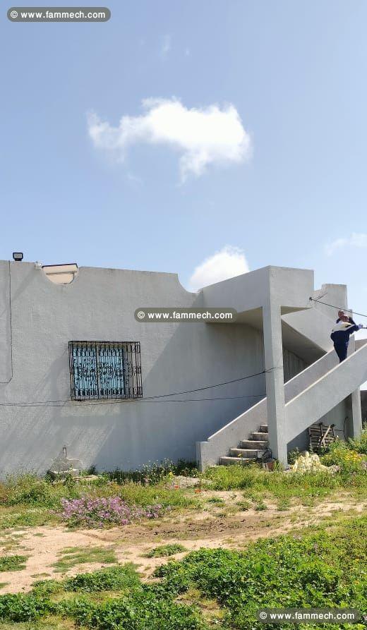 terrain agricole contenant une villa