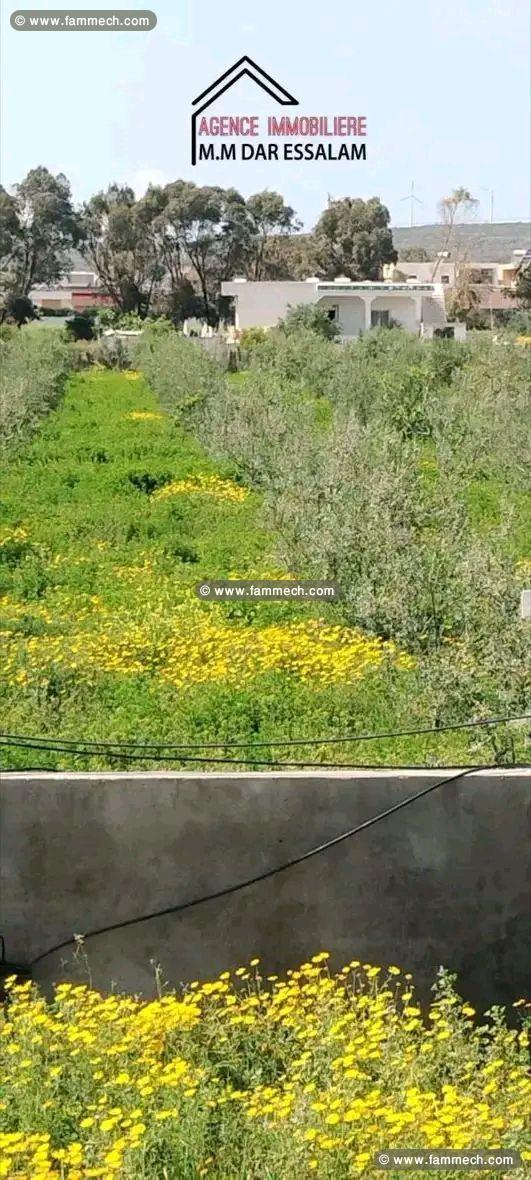 terrain agricole contenant une villa