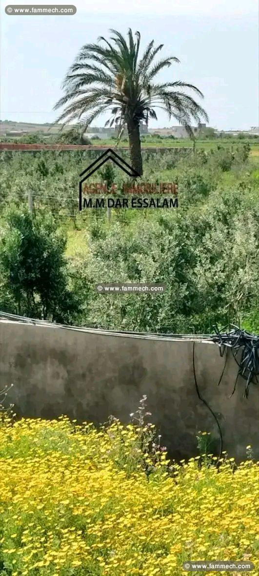 terrain agricole contenant une villa