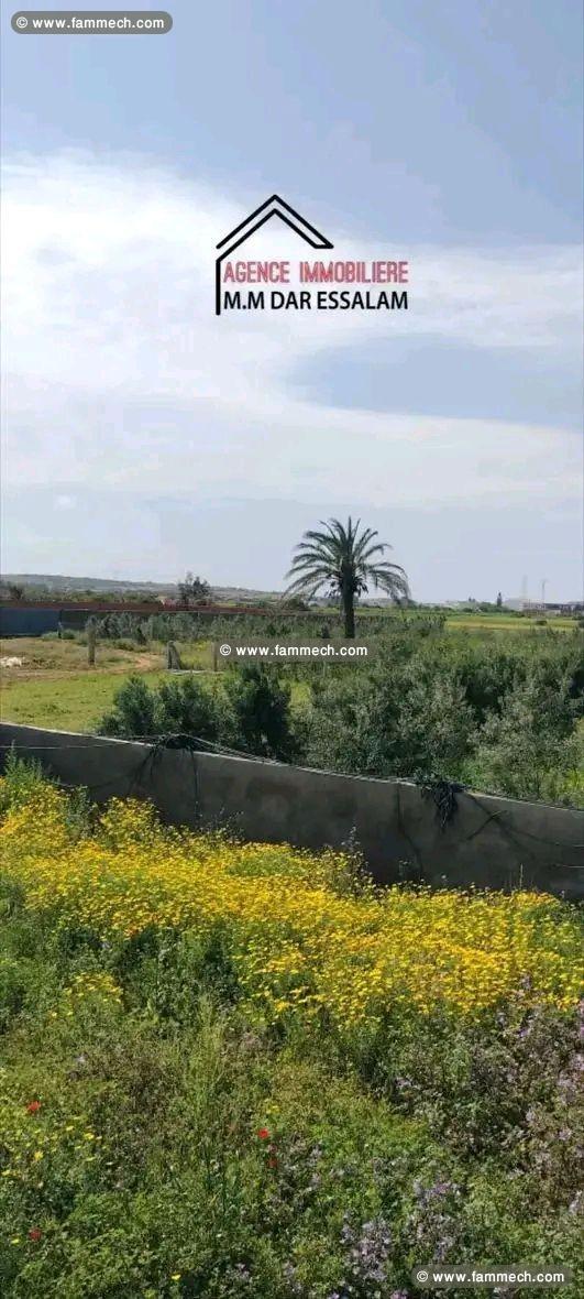 terrain agricole contenant une villa