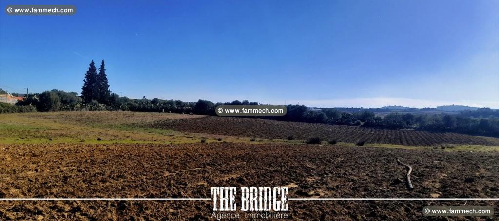 Terrain Agricole nu de 13 977 m² à Bou Argoub