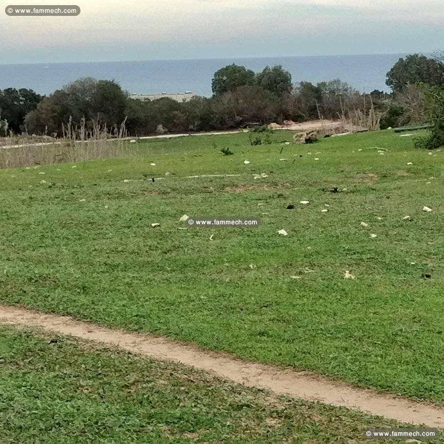 terrain agricole près de la mer
