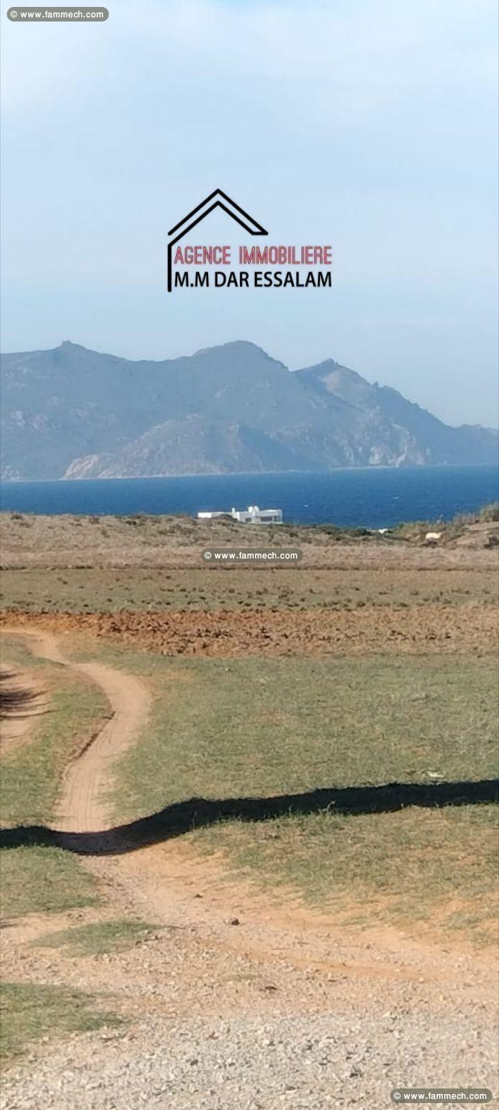 terrain agricole près de la mer