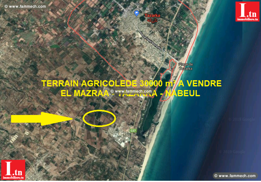Terrain agricole tazarka el mazraa 3m399