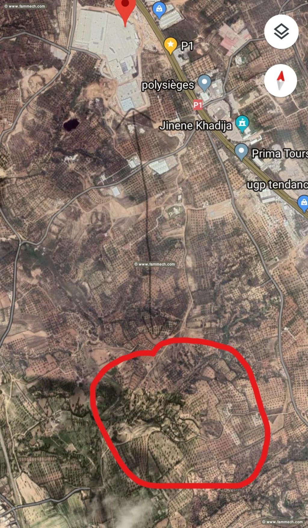 Terrain AKOUDA 