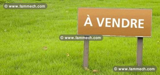 terrain au corniche