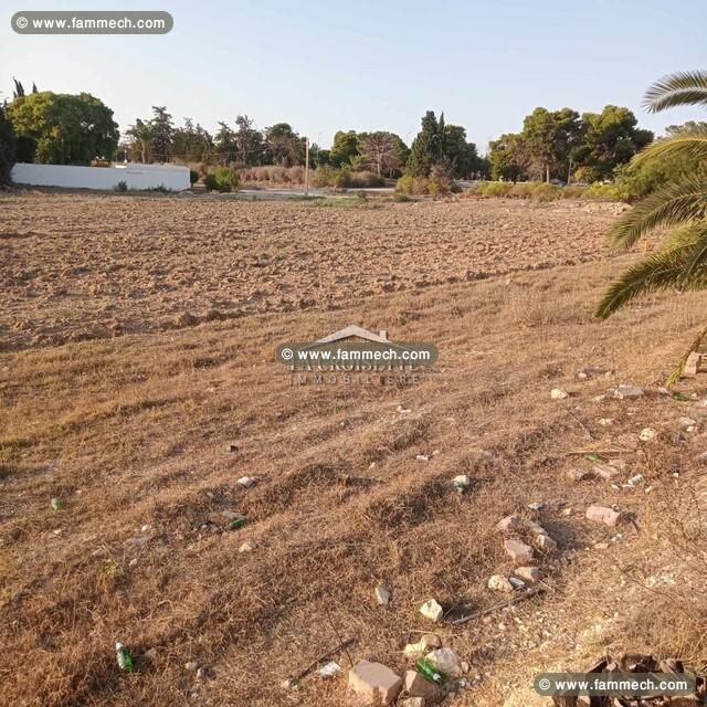 Terrain aux Jardins de Carthage MTV0115