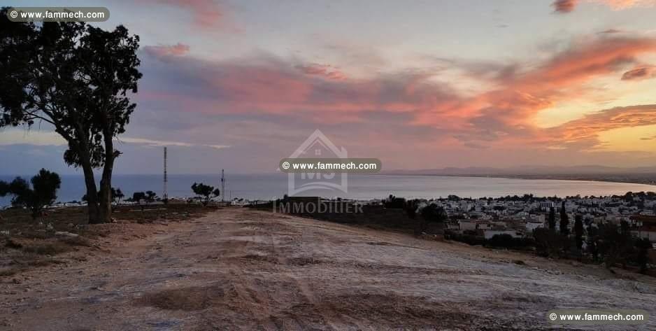 Terrain ayant une vue de mer à vendre 51355351