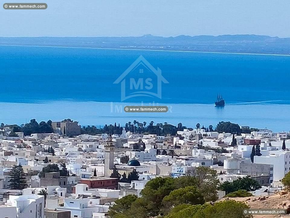 Terrain ayant une vue de mer à vendre 51355351