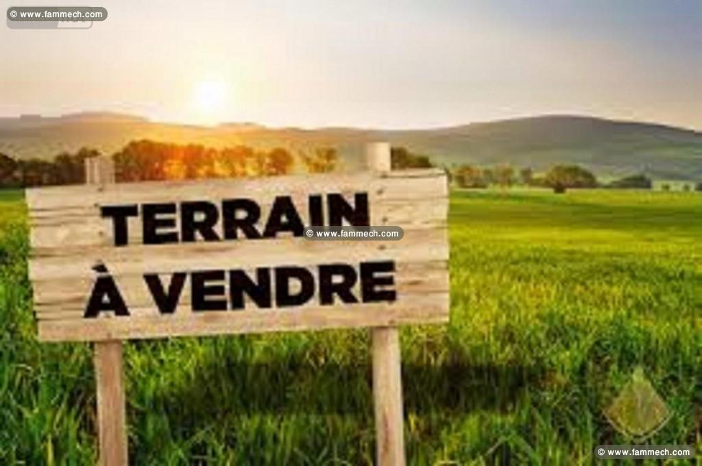 Terrain BACTI (Réf: T1526)