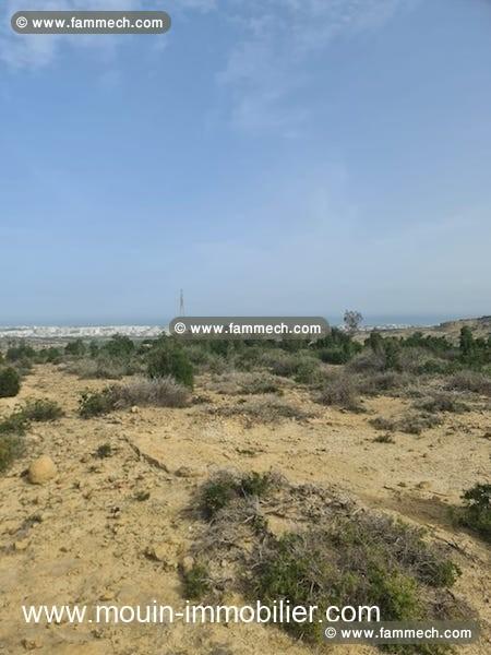 TERRAIN BADR à Hammamet Nord T1018