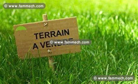terrain birbouragba3m703