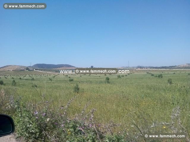 Terrain Bouficha ref T628 Bouficha 