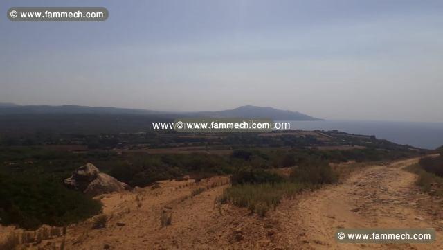 TERRAIN CAP SERRAT 1 Bizerte, Cap Serrat T865