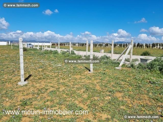 Terrain Chahd T986 Hammamet Sud 