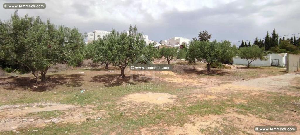 Terrain clôturé à vendre à Hammamet Nord 51355351