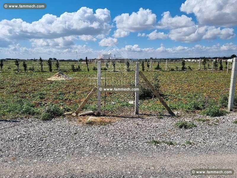 Terrain clôturé de 1000 m² à vendre à Hammamet Sud