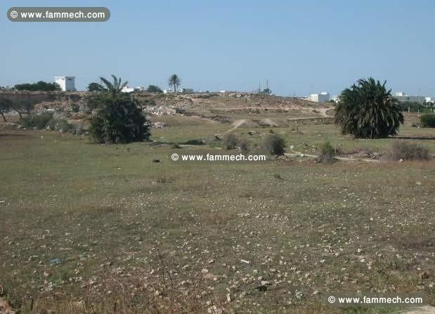 Terrain constructible