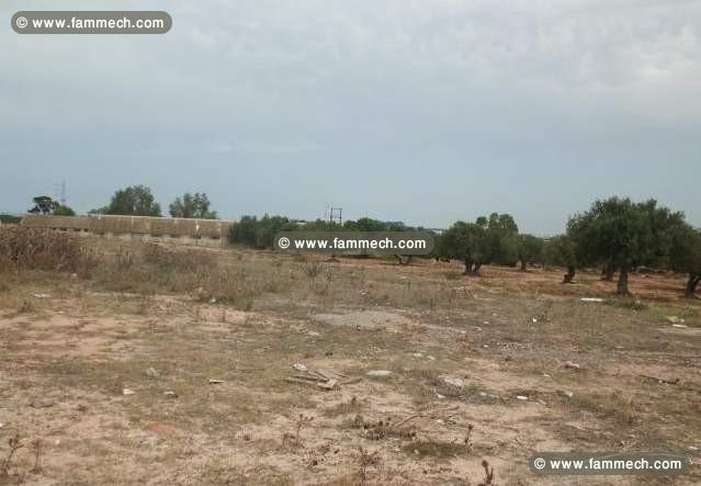 Terrain constructible