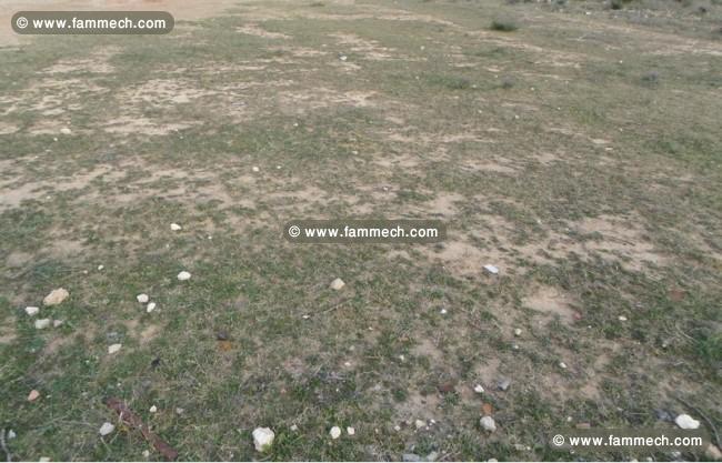 Terrain constructible à Chott Mariem