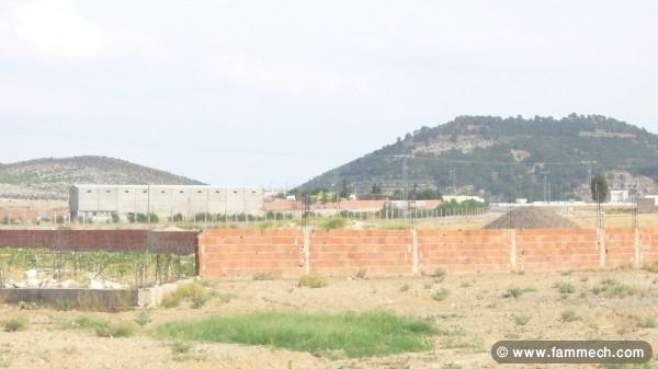 Terrain d'un hectar résidentiel titré à tajrouine