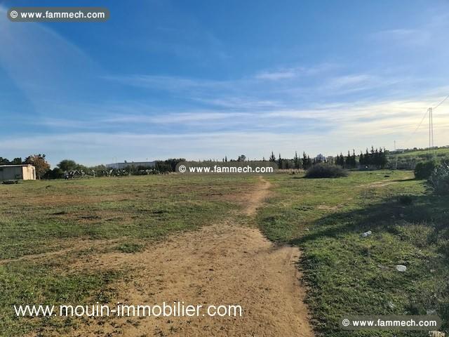 TERRAIN DANA Hammamet, Birbouregba - Latrach T915