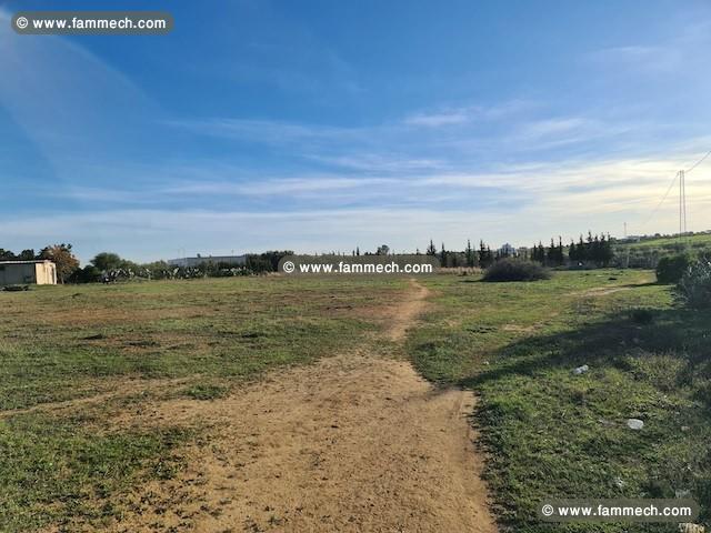 Terrain Dana T915 Hammamet Latrach