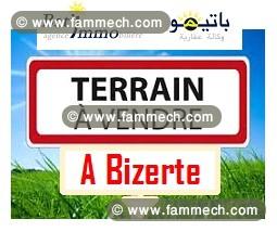 Terrain d'avenir à qq m du futur pont fixe Bizerte